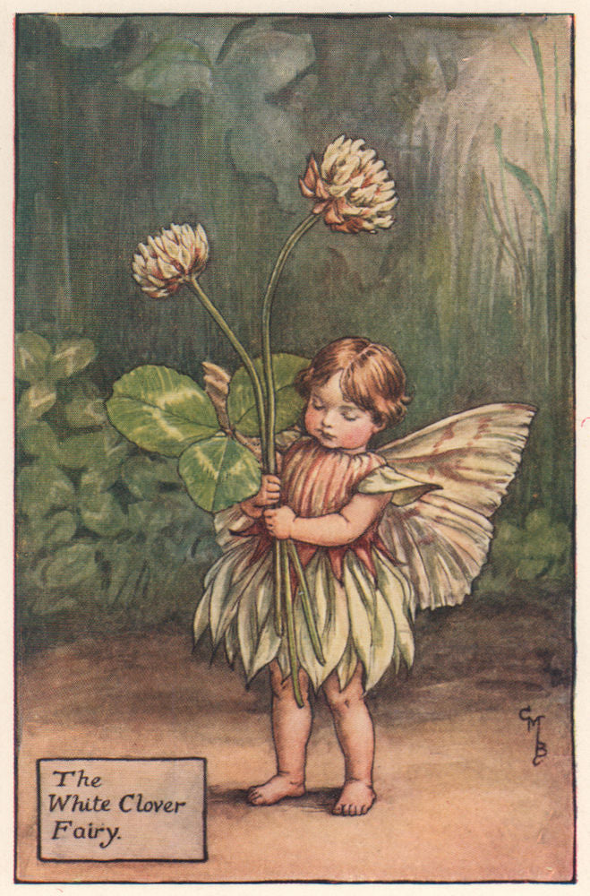 White Clover Fairy by Cicely Mary Barker. Summer Flower Fairies c1935 print